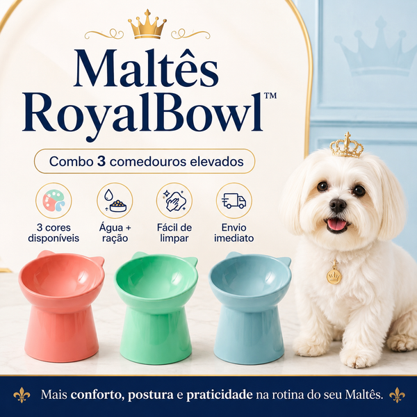 Maltês RoyalBowl™ - Comedouro Elevado para Maltês