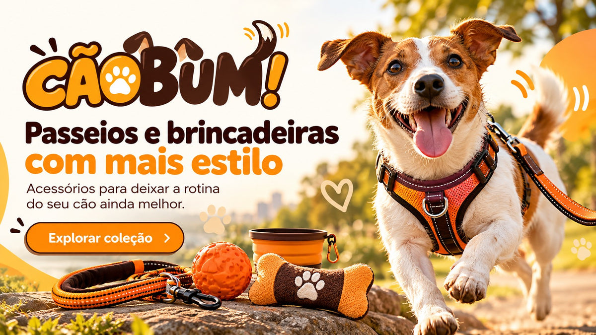Passeios e brincadeiras com mais estilo. Acessórios para deixar a rotina do seu cão ainda melhor.